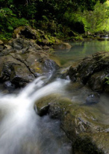 water-home-4